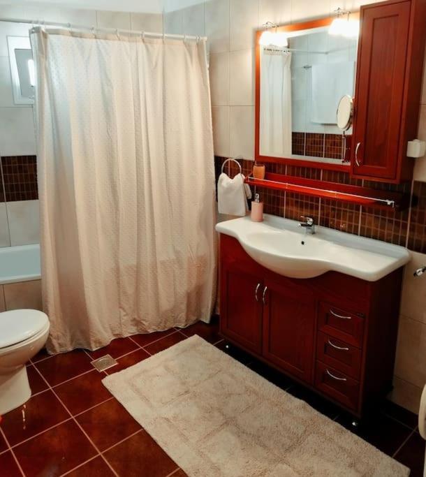 Evaggelia'S Apartments 5 Οικογενειακό Διαμέρισμα โคซานี ภายนอก รูปภาพ
